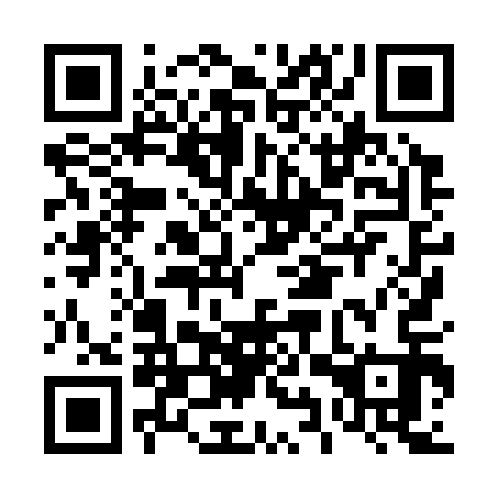 QR code for D9X 313