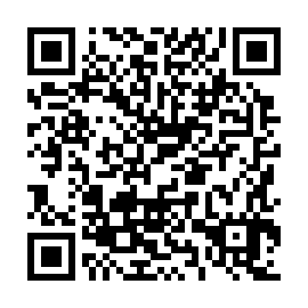 QR code for D9X 387