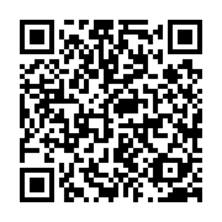 QR code for D9X 729