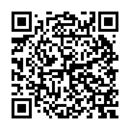 QR code for plate D9X 250