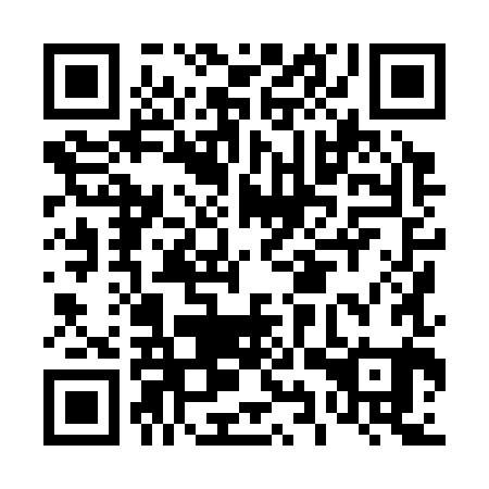 QR code for D9X381