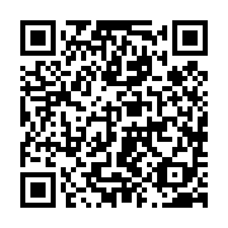 QR code for plate D9X 499