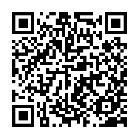 QR code for plate D9Y 285