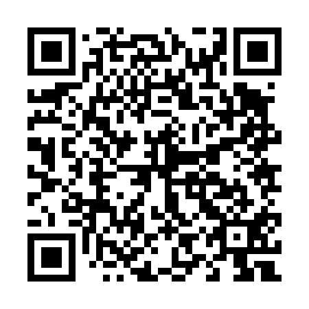 QR code for D9Z 411