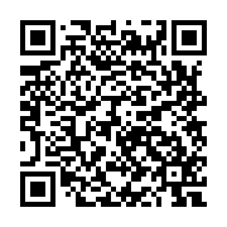 QR code for DA 2917