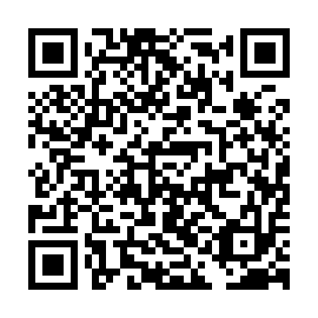 QR code for DAA 913