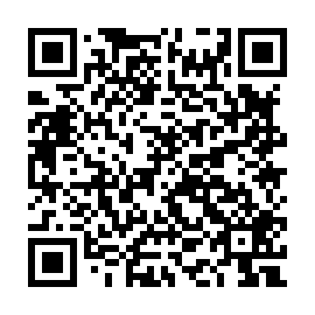 QR code for plate DAA 809