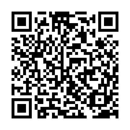 QR code for plate DAA 873