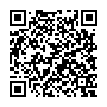 QR code for DAD 173