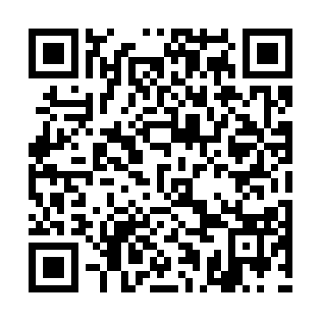 QR code for DAD 313