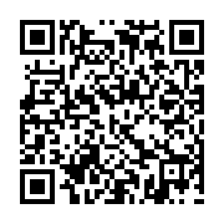 QR code for DAE 308