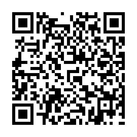 QR code for DAE 339