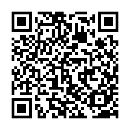 QR code for DAE 385