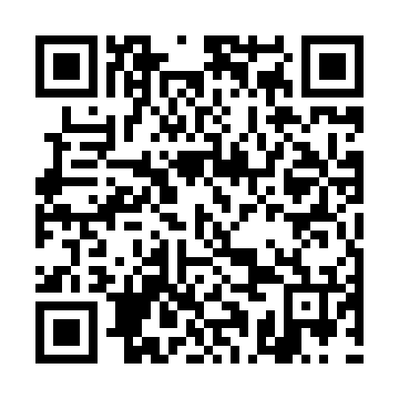 QR code for DAE 876