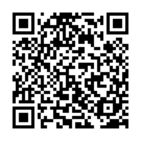 QR code for plate DAE 041