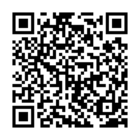 QR code for plate DAE 733