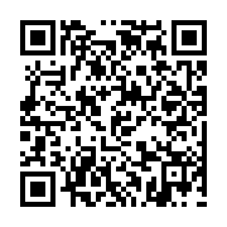 QR code for DAF 383