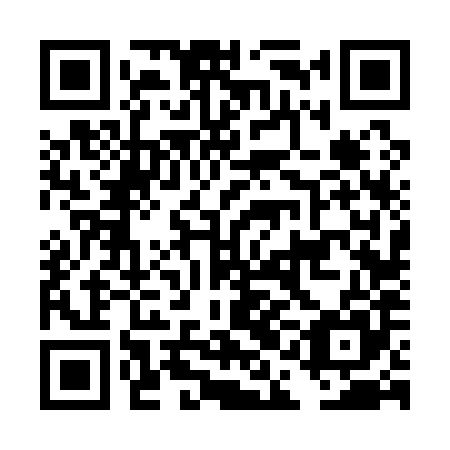 QR code for plate DAF 185