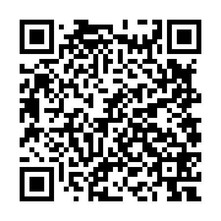 QR code for DAF868