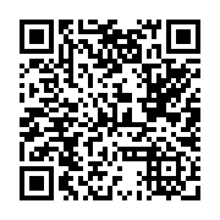 QR code for DAG 299