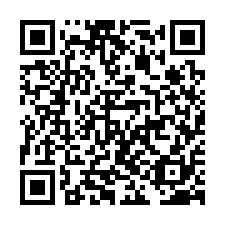 QR code for DAG 310