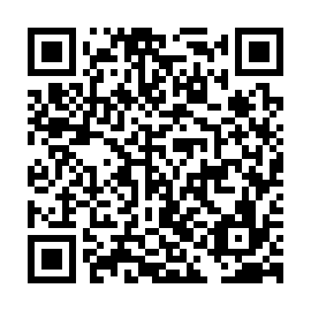 QR code for DAG336