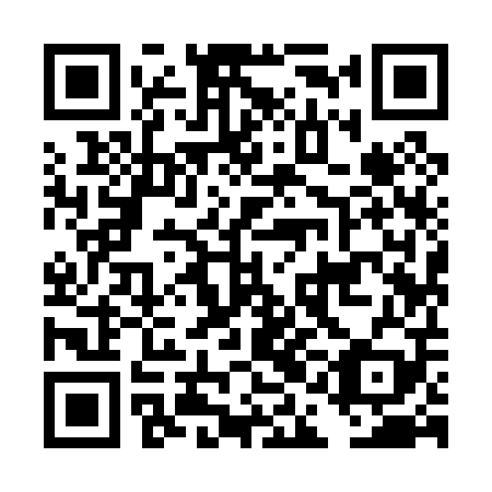 QR code for DAI 009
