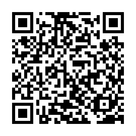 QR code for DAI 221