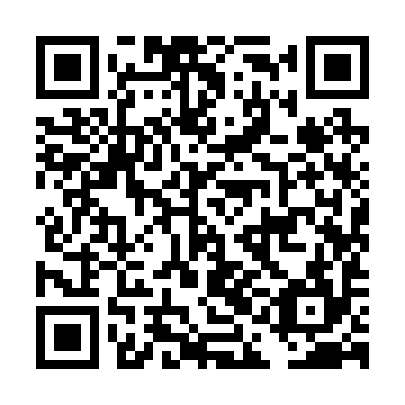 QR code for DAI 294