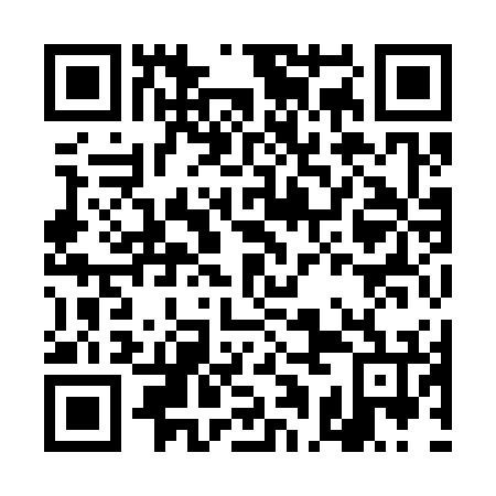QR code for DAI 376