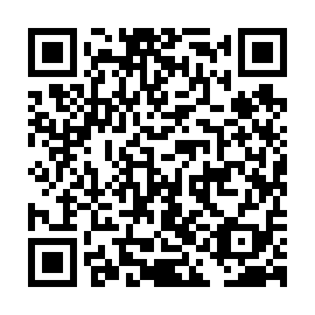 QR code for DAI 619