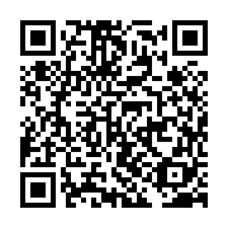 QR code for DAI 868