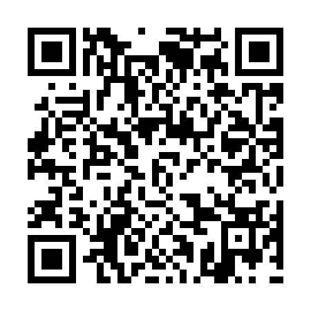 QR code for DAI 933