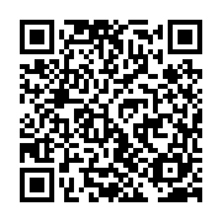 QR code for plate DAI 265