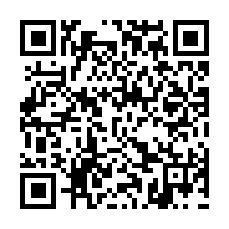 QR code for DAL 295