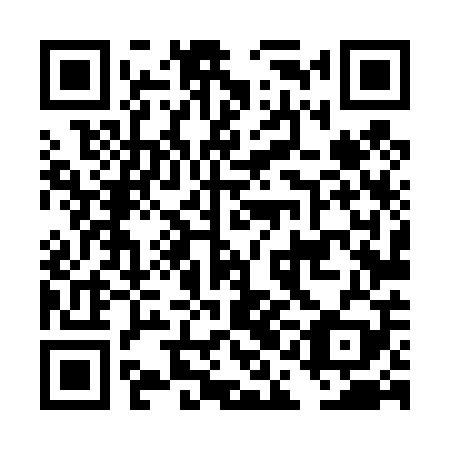 QR code for DAL 409