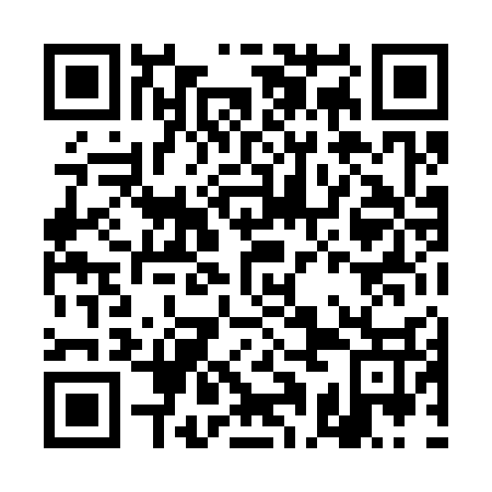 QR code for plate DAL 337