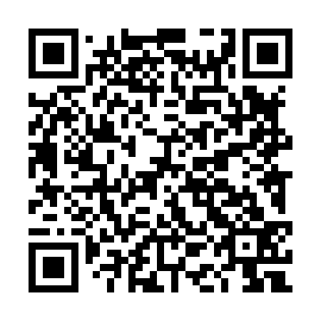 QR code for DAL833