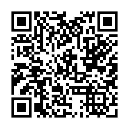 QR code for DAM 383