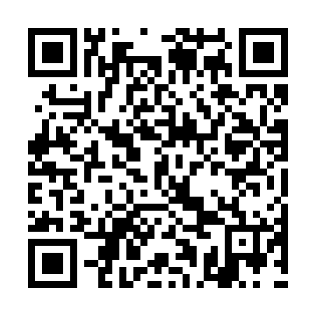 QR code for plate DAN 266