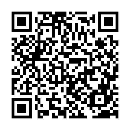 QR code for plate DAN 366