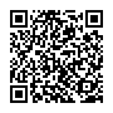 QR code for plate DAN 729