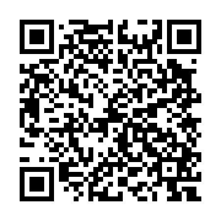 QR code for DAO 041