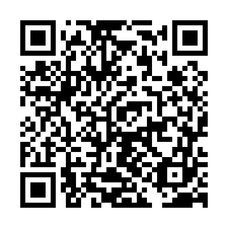 QR code for DAO 163
