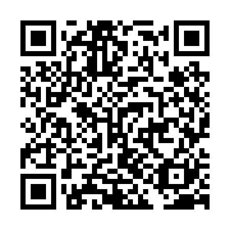 QR code for DAO 221