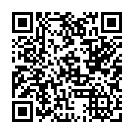 QR code for DAO 384