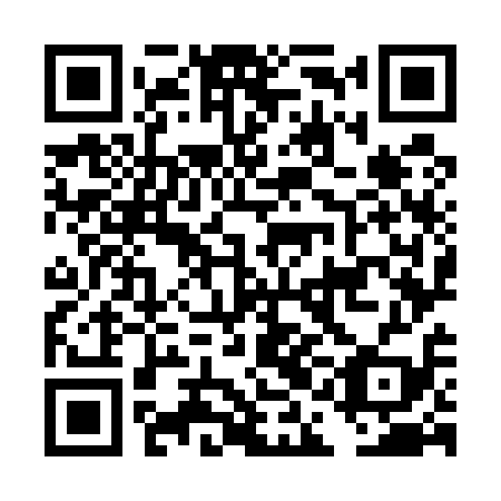 QR code for DAO 519