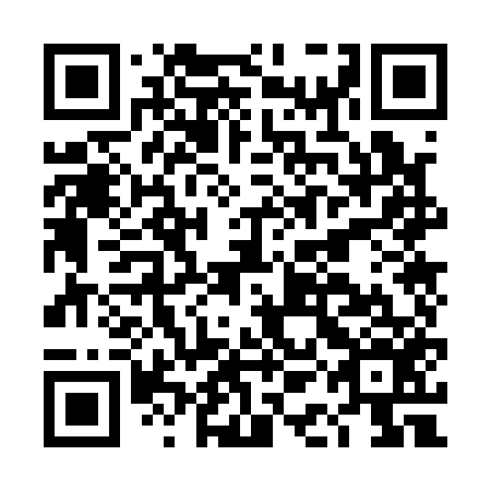 QR code for plate DAO 156