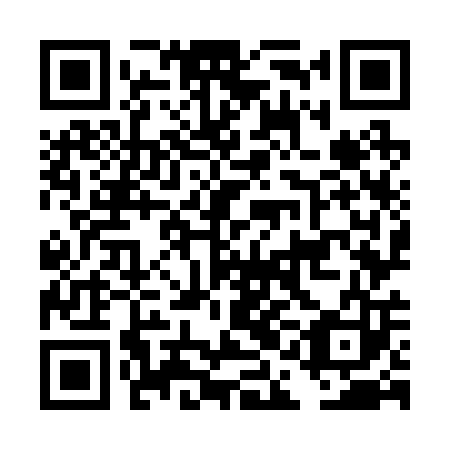 QR code for plate DAO 203