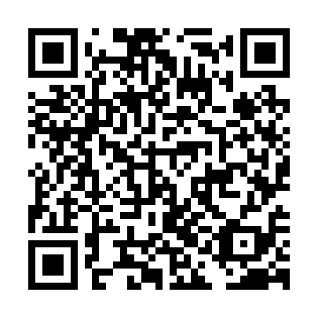 QR code for DAO219
